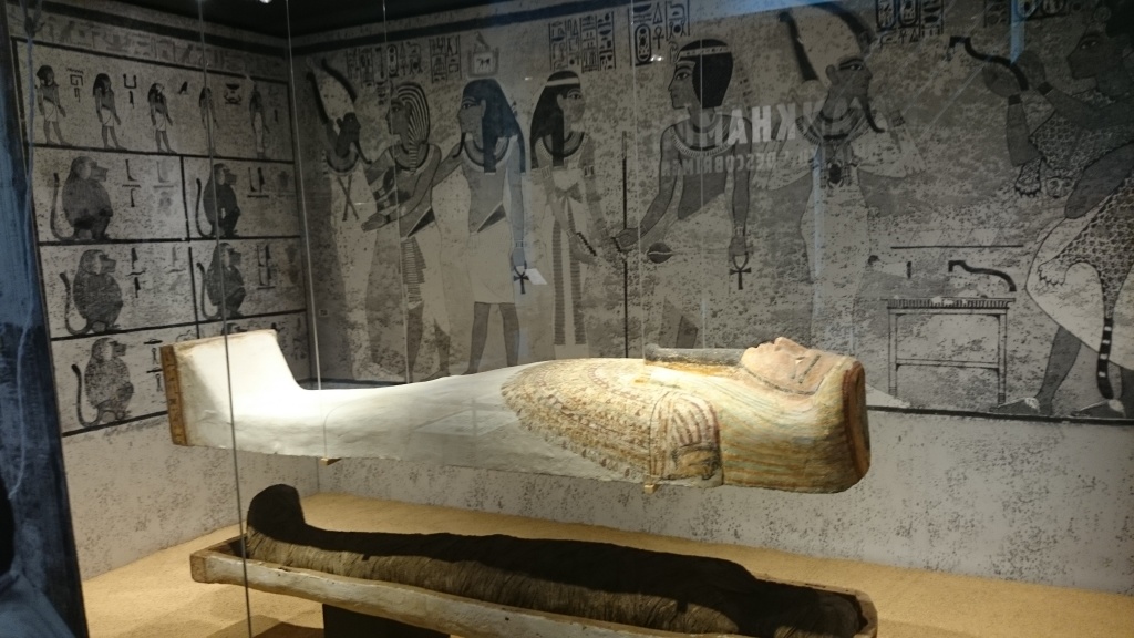 museu egipci Nit dels Museus Barcelona