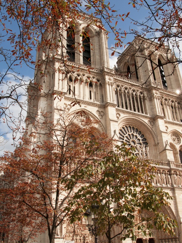 Notre Dame - París